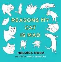 Okok My Cat Is Mad - Reasons My Cat Is Mad