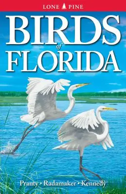 Florida madarai - Birds of Florida