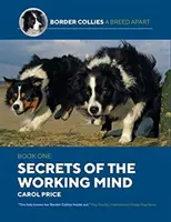 A dolgozó elme titkai - Secrets Of The Working Mind