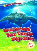 Bőrhátú tengeri teknősök vándorlása - Leatherback Sea Turtle Migration