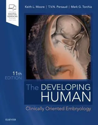 Fejlődő ember - Klinikai orientációjú embriológia - Developing Human - Clinically Oriented Embryology