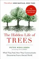 A fák rejtett élete - Mit éreznek, hogyan kommunikálnak - Hidden Life of Trees - What They Feel, How They Communicate