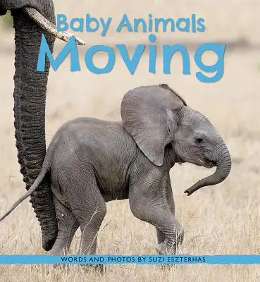 Mozgó kisállatok - Baby Animals Moving