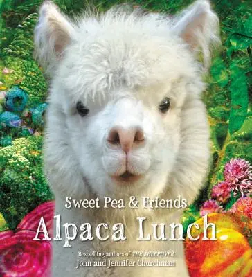 Alpaka ebéd - Alpaca Lunch