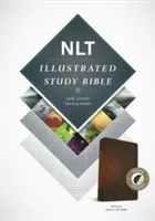 Illusztrált Tanulmányi Biblia-NLT - Illustrated Study Bible-NLT