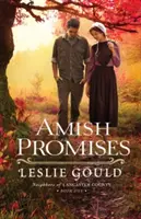 Amish ígéretek - Amish Promises