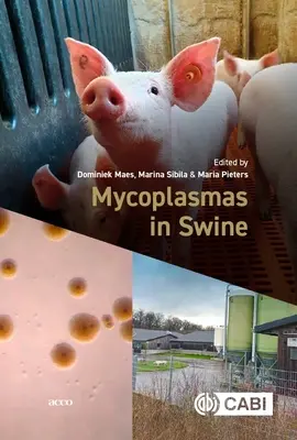 Mycoplasmák a sertésekben - Mycoplasmas in Swine