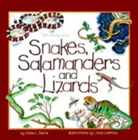 Kígyók, szalamandrák és gyíkok - Snakes, Salamanders & Lizards