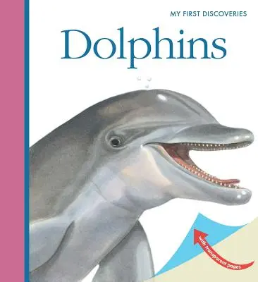 Delfinek - Dolphins