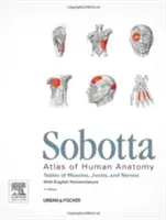 Sobotta Tables of Muscles, Joints and Nerves, English - Táblázatok a Sobotta Atlas 15. kiadásához. - Sobotta Tables of Muscles, Joints and Nerves, English - Tables to 15th ed. of the Sobotta Atlas