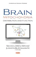 Agyi mitokondriumok - eloszlás és működés - Brain Mitochondria - Distribution and Function