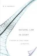 Přirozené právo u soudu: Dějiny právní teorie v praxi - Natural Law in Court: A History of Legal Theory in Practice