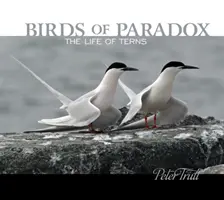 A paradoxon madarai: A csérek élete - Birds of Paradox: The Life of Terns