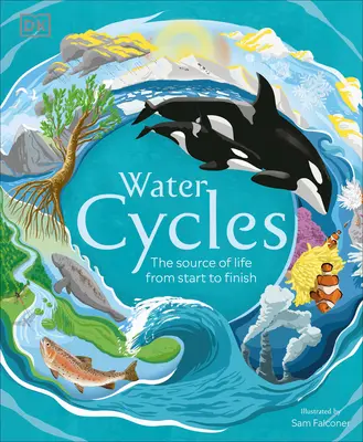 A víz körforgása - Water Cycles