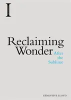 A csoda visszaszerzése: A fenséges után - Reclaiming Wonder: After the Sublime