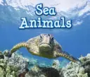 Tengeri állatok - Sea Animals