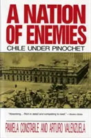 Az ellenségek nemzete: Chile Pinochet alatt - A Nation of Enemies: Chile Under Pinochet