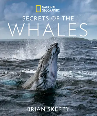 A bálnák titkai - Secrets of the Whales