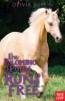 Palomino póni szabadon fut - Palomino Pony Runs Free