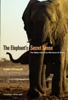 Az elefánt titkos érzéke: Az afrikai vadon élő csordák rejtett élete - The Elephant's Secret Sense: The Hidden Life of the Wild Herds of Africa