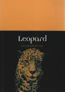 Leopárd - Leopard