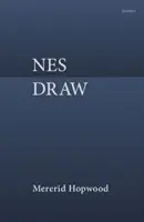 Nes Draw