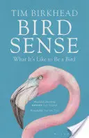 Madárérzék - Milyen érzés madárnak lenni - Bird Sense - What It's Like to Be a Bird