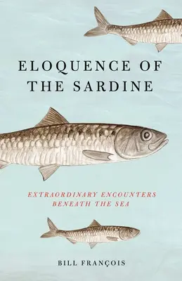 A szardínia ékesszólása: Rendkívüli találkozások a tenger mélyén - Eloquence of the Sardine: Extraordinary Encounters Beneath the Sea