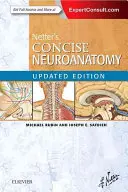 Netter tömör neuroanatómiája - frissített kiadás - Netter's Concise Neuroanatomy Updated Edition