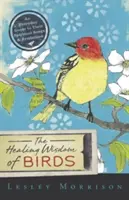 A madarak gyógyító bölcsessége: A mindennapi útmutató spirituális énekükhöz és szimbolikájukhoz - The Healing Wisdom of Birds: An Everyday Guide to Their Spiritual Songs & Symbolism