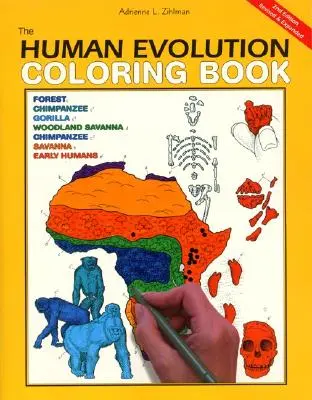 The Human Evolution Coloring Book, 2. kiadás - The Human Evolution Coloring Book, 2nd Edition