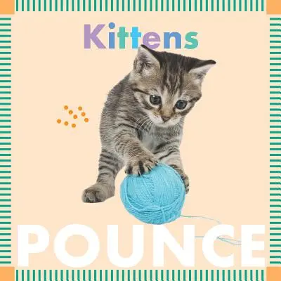 Cicák ugrálnak - Kittens Pounce