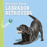 Gyorstények a labradorokról - Fast Facts About Labradors