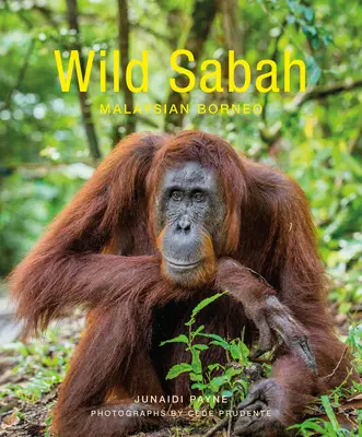 Wild Sabah