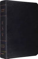 Tanulmányi Biblia-ESV - Study Bible-ESV