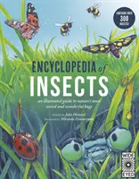 A rovarok enciklopédiája - Encyclopedia of Insects