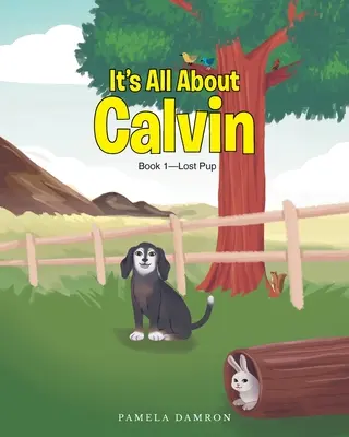 Minden Calvinről szól: 1. könyv - Elveszett kutyus - It's All About Calvin: Book 1-Lost Pup