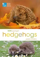 RSPB Spotlight sünök - RSPB Spotlight Hedgehogs