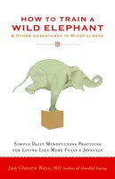 Hogyan idomítsunk egy vadon élő elefántot: És más kalandok a tudatosságban - How to Train a Wild Elephant: And Other Adventures in Mindfulness