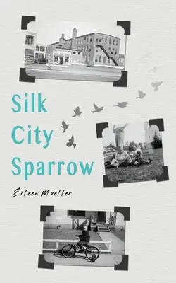 Selyemvárosi veréb - Silk City Sparrow