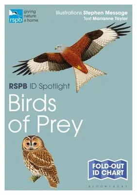 Rspb Id Spotlight - Ragadozó madarak - Rspb Id Spotlight - Birds of Prey