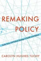 A politika újraalkotása: Scale, Pace, and Political Strategy in Health Care Reform (Méret, ütem és politikai stratégia az egészségügyi reformban) - Remaking Policy: Scale, Pace, and Political Strategy in Health Care Reform