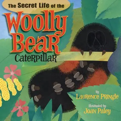 A gyapjas medve hernyó titkos élete - The Secret Life of the Woolly Bear Caterpillar