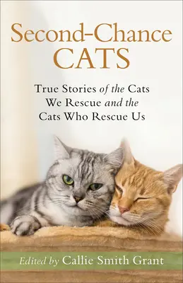 Második esély macskák: Igaz történetek az általunk megmentett macskákról és a macskákról, akik megmentenek minket - Second-Chance Cats: True Stories of the Cats We Rescue and the Cats Who Rescue Us