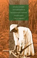 Cukor, rabszolgaság és szabadság a tizenkilencedik századi Puerto Ricóban - Sugar, Slavery, and Freedom in Nineteenth-Century Puerto Rico