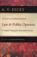 Előadások a jog és a közvélemény viszonyáról Angliában a tizenkilencedik században - Lectures on the Relation Between Law and Public Opinion in England During the Nineteenth Century