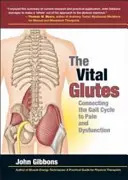 Vital Glutes - A járásciklus és a fájdalom és a diszfunkció összekapcsolása - Vital Glutes - Connecting the Gait Cycle to Pain and Dysfunction