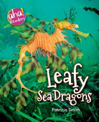 Lombos tengeri sárkányok - Leafy Sea Dragons