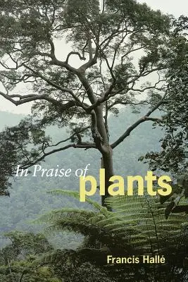 A növények dicsérete - In Praise of Plants