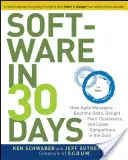 Software in 30 Days: How Agile Managers Beat the Odds, Delight their Customers, and Leave Competitors in the Dust in the Dust - Software in 30 Days: How Agile Managers Beat the Odds, Delight Their Customers, and Leave Competitors in the Dust